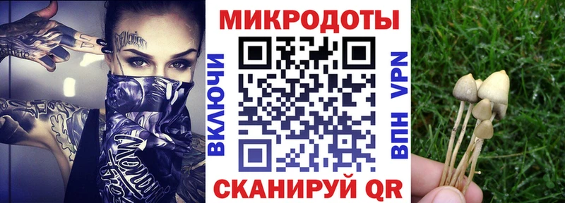 Купить закладки  Дубовка  Псилоцибиновые грибы GOLDEN TEACHER 